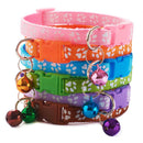 Conjunto com 10 coleiras para Pets de pequeno porte  (Seu pet estiloso com várias cores)