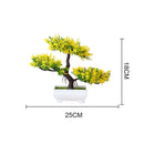 Decoração com Bonsai de pinho / pequenas árvores