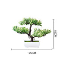 Decoração com Bonsai de pinho / pequenas árvores
