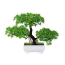 Decoração com Bonsai de pinho / pequenas árvores