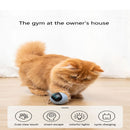 Brinquedo para gatos interativo,Bola Speed cat (LED colorido, bola auto-giratória inteligente)