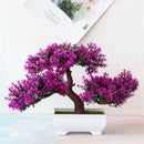 Decoração com Bonsai de pinho / pequenas árvores
