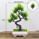 Decoração com Bonsai de pinho / pequenas árvores