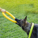 Discos voadores para cães EVA (Brinquedo resistente  mordedor e anti estresse para cães)