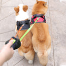 Trela dupla retrátil de 2 cores para animais de estimação, (Opção de trela dupla ou única)