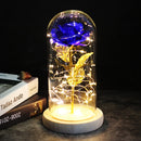 Cúpula estilo pequeno príncipe( Presentei quem você ama com um presente diferente)