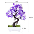 Decoração com Bonsai de pinho / pequenas árvores