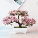 Decoração com Bonsai de pinho / pequenas árvores