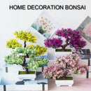 Decoração com Bonsai de pinho / pequenas árvores