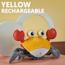 Caranguejo interativo musical (Incentive seu filho a andar com esse brinquedo incrível)