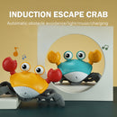 Caranguejo interativo musical (Incentive seu filho a andar com esse brinquedo incrível)